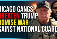 Chicago Gangs Threaten Trump, Promise War Against National Guard