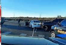 Watch Police Grapple Stolen Car In Wild Dashcam Stop