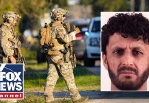 ‘This CAN’T go well’: Vet’s CHILLING warning after Afghan nationals charged