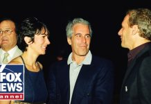 NEW: Fake passport, Trump flight records emerge in latest Epstein dump