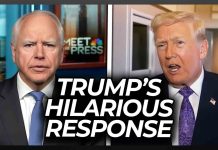 Tim Walz Humiliated as Trump Has a Hilarious Response to Fraud Accusations