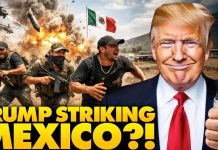 Trump SHOCKS World: Announces US Military Strikes On MEXICO, Declares WAR Against Cartels: ‘To Hell…
