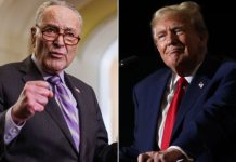 Checkmate! – Trump’s Move Will End Democrat Power In Congress