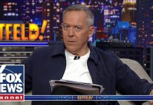 Gutfeld: How is she not in jail…?